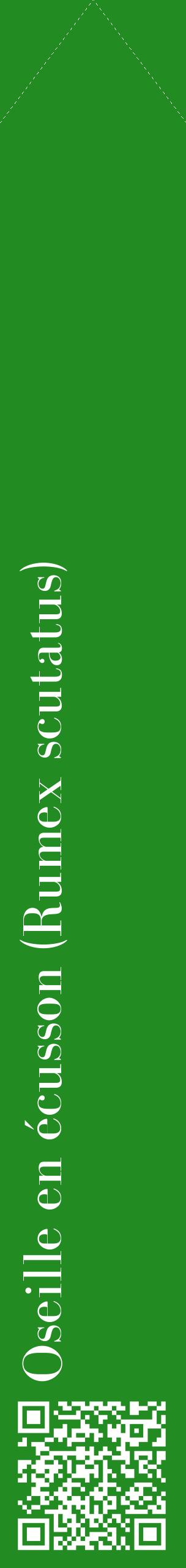 Étiquette de : Rumex scutatus - format c - style blanche10_simplebod avec qrcode et comestibilité