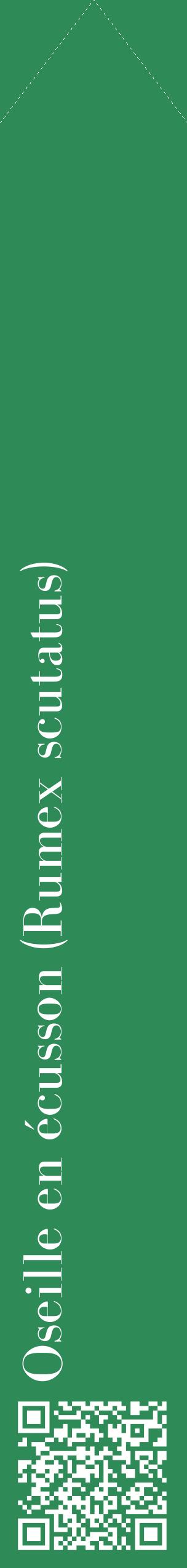 Étiquette de : Rumex scutatus - format c - style blanche11_simplebod avec qrcode et comestibilité