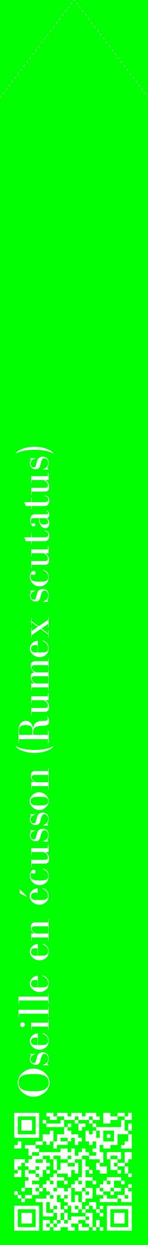Étiquette de : Rumex scutatus - format c - style blanche16_simplebod avec qrcode et comestibilité
