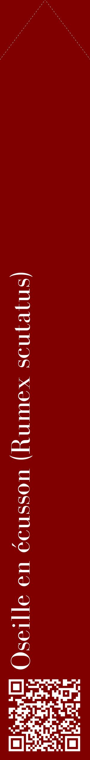 Étiquette de : Rumex scutatus - format c - style blanche29_simplebod avec qrcode et comestibilité