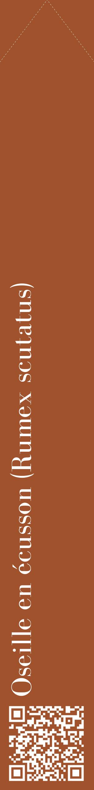 Étiquette de : Rumex scutatus - format c - style blanche32_simplebod avec qrcode et comestibilité