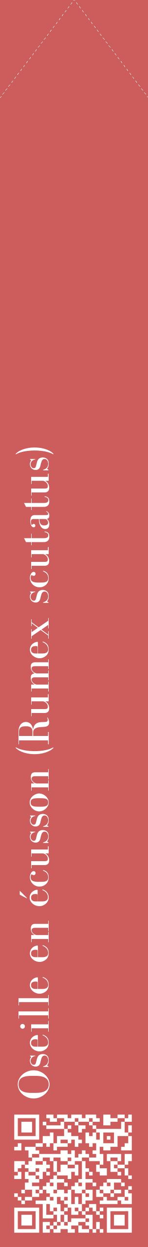 Étiquette de : Rumex scutatus - format c - style blanche35_simplebod avec qrcode et comestibilité