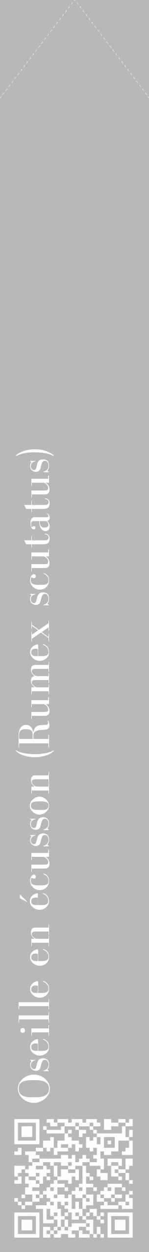Étiquette de : Rumex scutatus - format c - style blanche39_simple_simplebod avec qrcode et comestibilité - position verticale