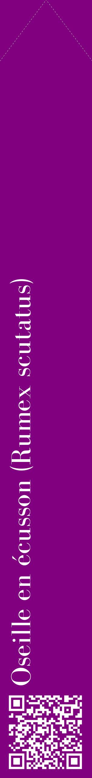 Étiquette de : Rumex scutatus - format c - style blanche46_simplebod avec qrcode et comestibilité