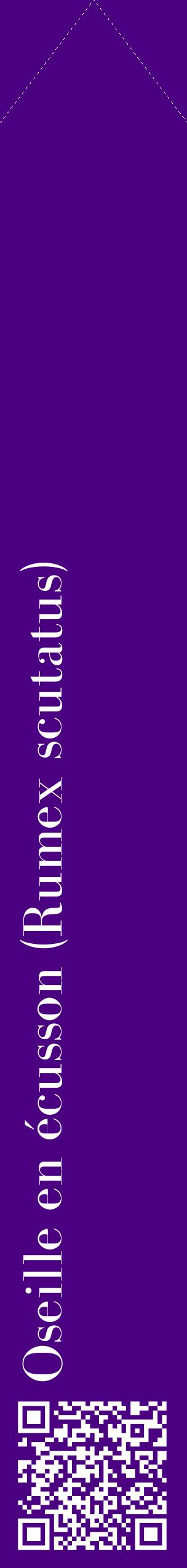 Étiquette de : Rumex scutatus - format c - style blanche47_simplebod avec qrcode et comestibilité
