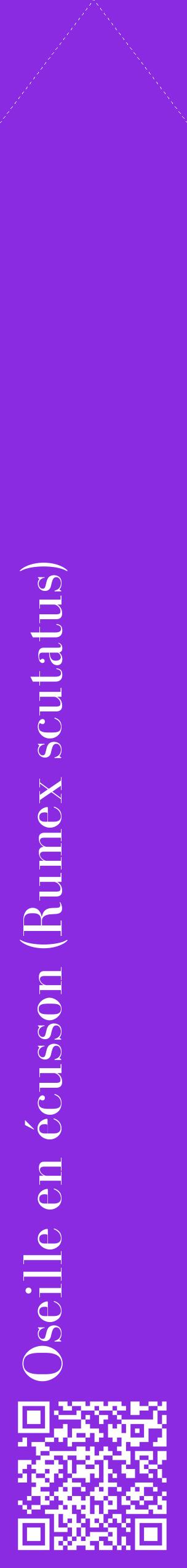 Étiquette de : Rumex scutatus - format c - style blanche49_simplebod avec qrcode et comestibilité