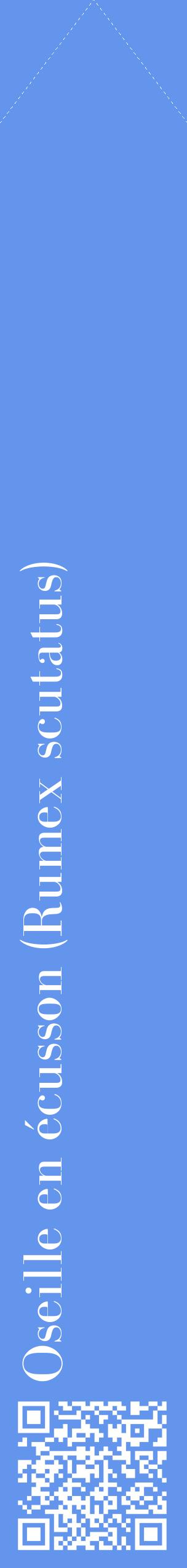 Étiquette de : Rumex scutatus - format c - style blanche4_simplebod avec qrcode et comestibilité
