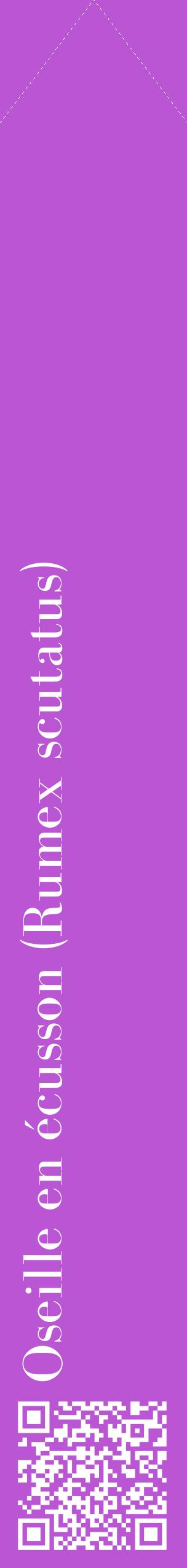 Étiquette de : Rumex scutatus - format c - style blanche50_simplebod avec qrcode et comestibilité