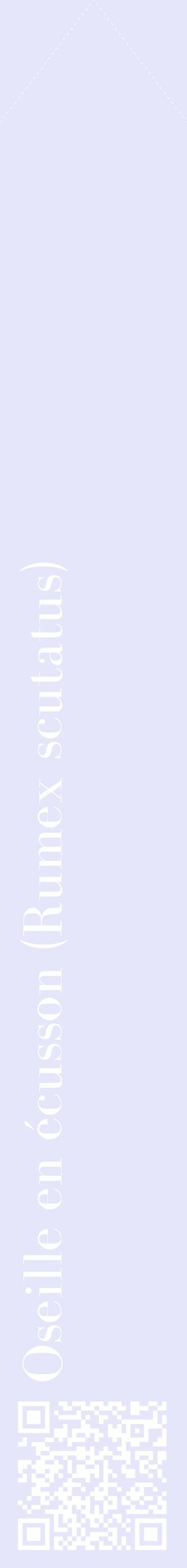 Étiquette de : Rumex scutatus - format c - style blanche55_simplebod avec qrcode et comestibilité