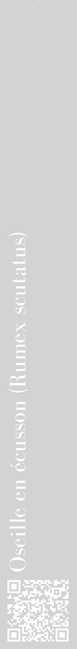 Étiquette de : Rumex scutatus - format c - style blanche56_simplebod avec qrcode et comestibilité