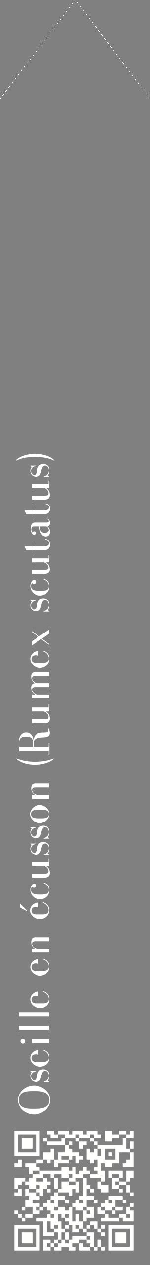 Étiquette de : Rumex scutatus - format c - style blanche57_simplebod avec qrcode et comestibilité