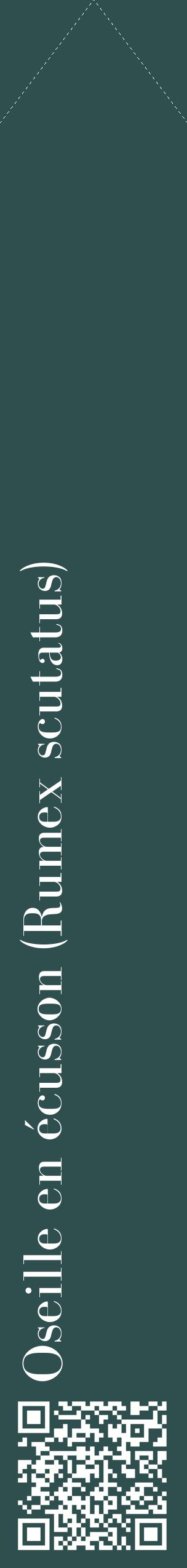 Étiquette de : Rumex scutatus - format c - style blanche58_simplebod avec qrcode et comestibilité