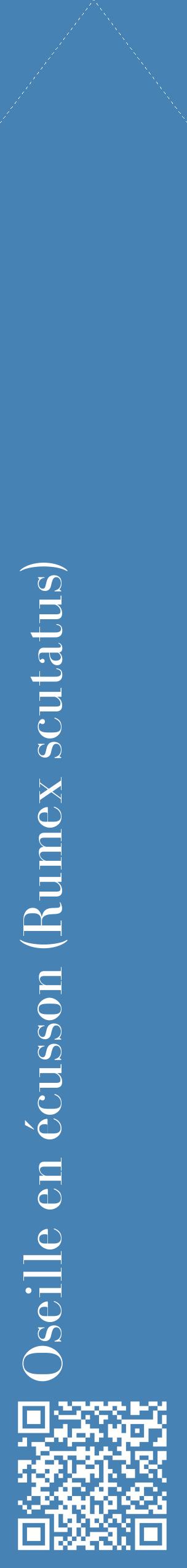 Étiquette de : Rumex scutatus - format c - style blanche5_simplebod avec qrcode et comestibilité
