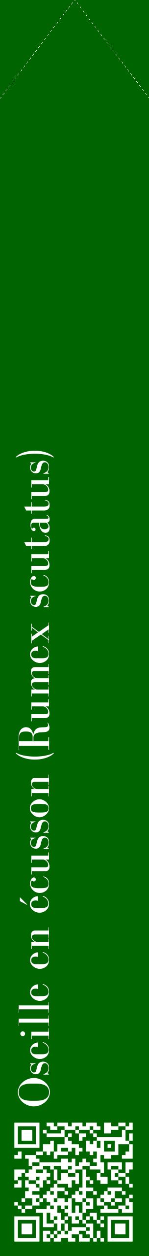 Étiquette de : Rumex scutatus - format c - style blanche8_simplebod avec qrcode et comestibilité