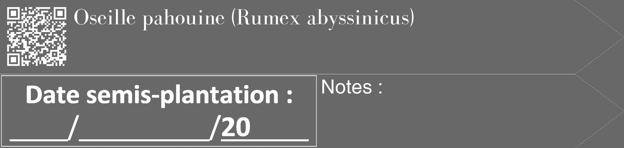 Étiquette de : Rumex abyssinicus - format c - style blanche6_simple_simplebod avec qrcode et comestibilité