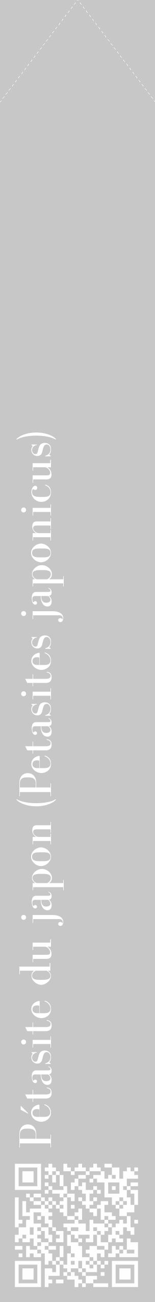 Étiquette de : Petasites japonicus - format c - style blanche15_simple_simplebod avec qrcode et comestibilité - position verticale