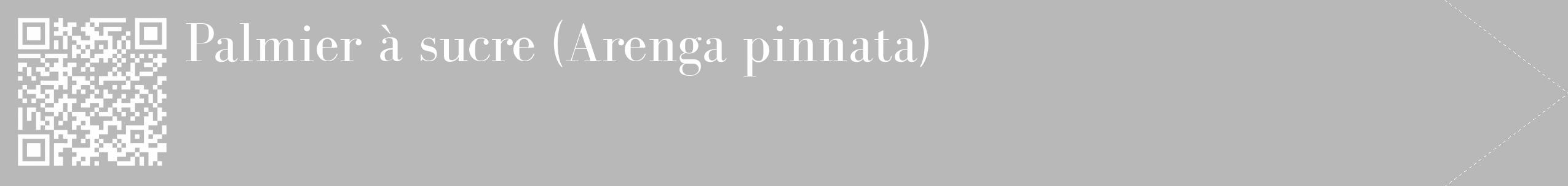 Étiquette de : Arenga pinnata - format c - style blanche39_simple_simplebod avec qrcode et comestibilité