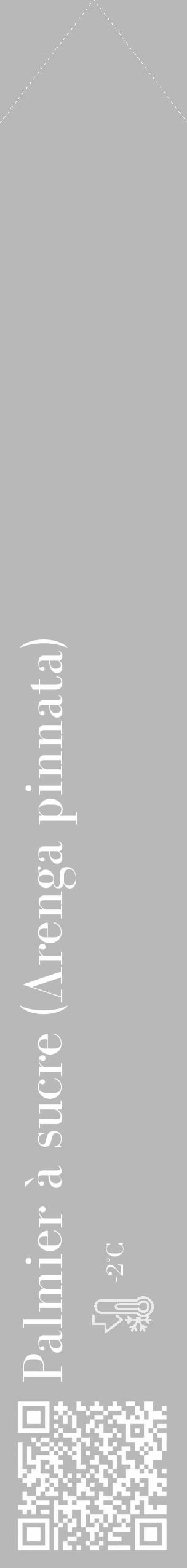 Étiquette de : Arenga pinnata - format c - style blanche39_simple_simplebod avec qrcode et comestibilité - position verticale