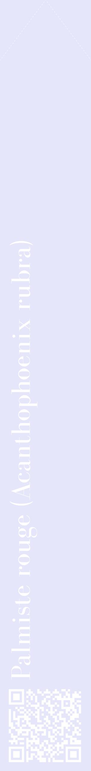 Étiquette de : Acanthophoenix rubra - format c - style blanche55_simplebod avec qrcode et comestibilité