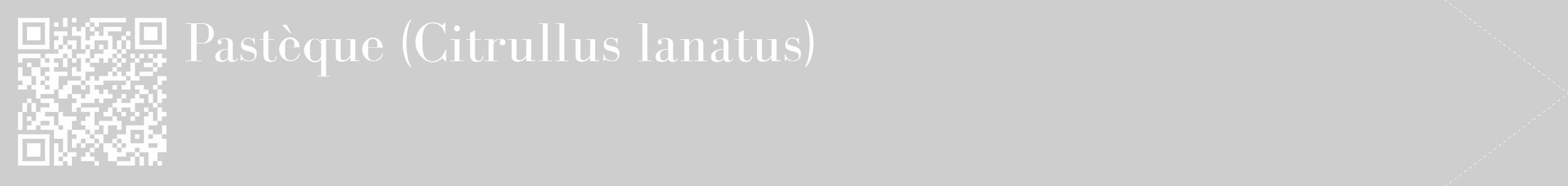 Étiquette de : Citrullus lanatus - format c - style blanche17_simple_simplebod avec qrcode et comestibilité