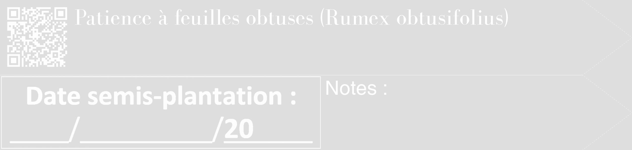 Étiquette de : Rumex obtusifolius - format c - style blanche20_simple_simplebod avec qrcode et comestibilité