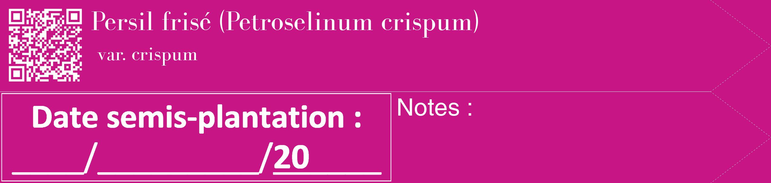 Étiquette de : Petroselinum crispum var. crispum - format c - style blanche45_simple_simplebod avec qrcode et comestibilité