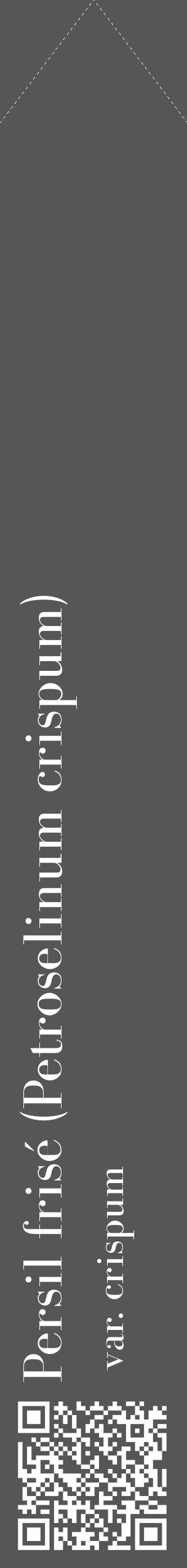Étiquette de : Petroselinum crispum var. crispum - format c - style blanche45_simple_simplebod avec qrcode et comestibilité - position verticale