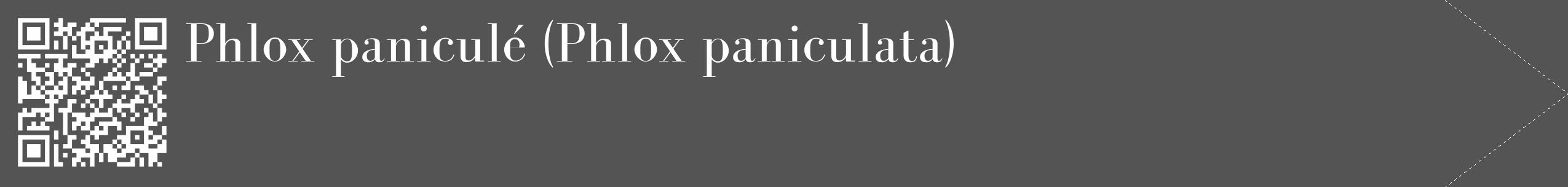 Étiquette de : Phlox paniculata - format c - style blanche30_simple_simplebod avec qrcode et comestibilité