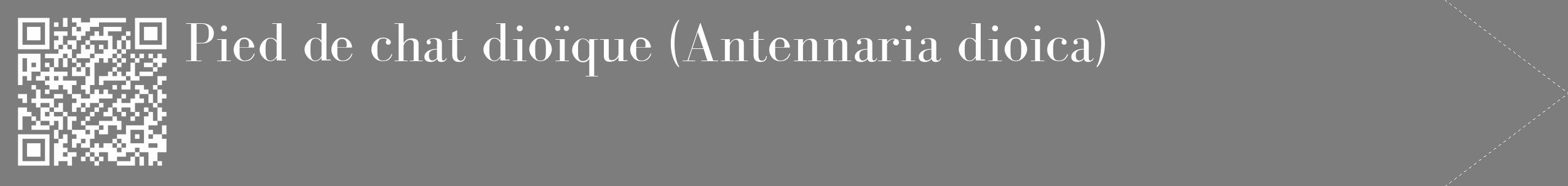 Étiquette de : Antennaria dioica - format c - style blanche35_simple_simplebod avec qrcode et comestibilité