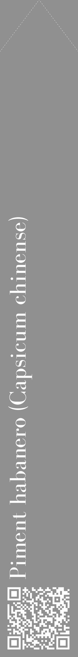 Étiquette de : Capsicum chinense - format c - style blanche4_simple_simplebod avec qrcode et comestibilité - position verticale