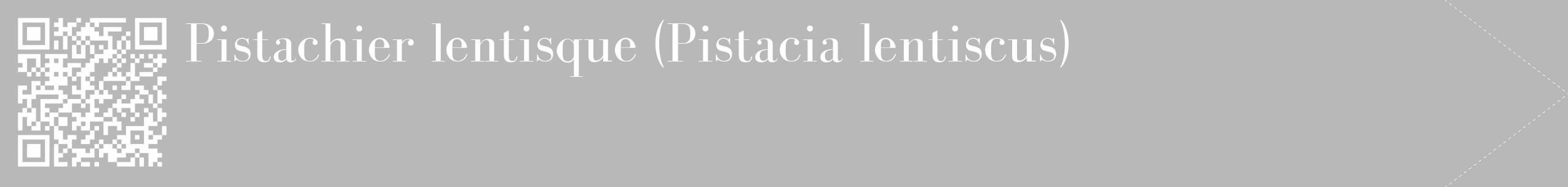 Étiquette de : Pistacia lentiscus - format c - style blanche39_simple_simplebod avec qrcode et comestibilité