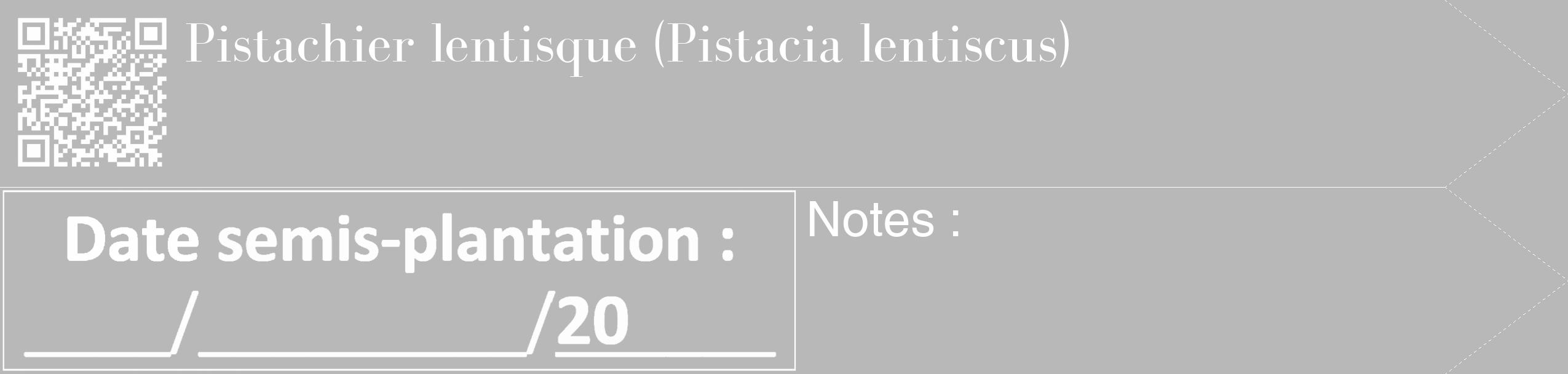 Étiquette de : Pistacia lentiscus - format c - style blanche39_simple_simplebod avec qrcode et comestibilité