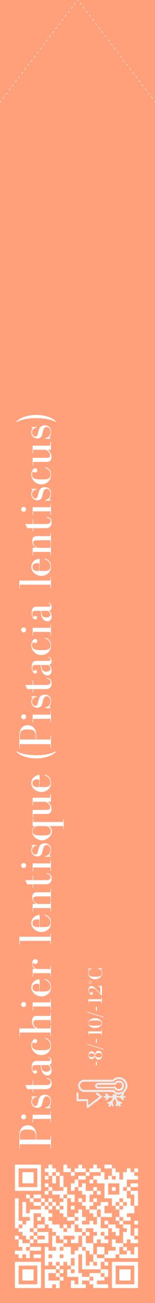 Étiquette de : Pistacia lentiscus - format c - style blanche39_simple_simplebod avec qrcode et comestibilité - position verticale