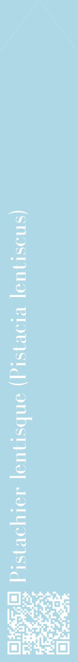 Étiquette de : Pistacia lentiscus - format c - style blanche0_simplebod avec qrcode et comestibilité