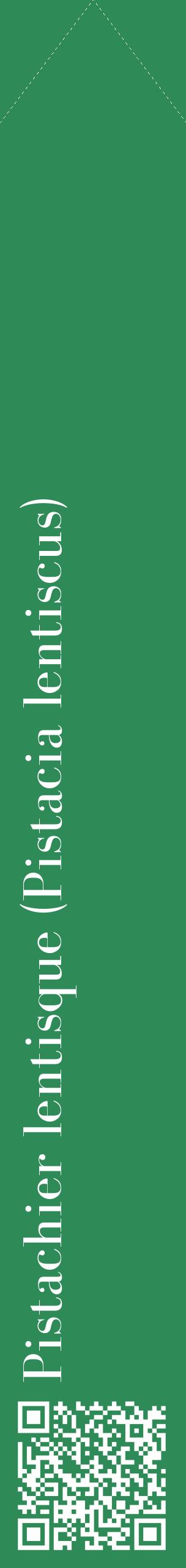 Étiquette de : Pistacia lentiscus - format c - style blanche11_simplebod avec qrcode et comestibilité