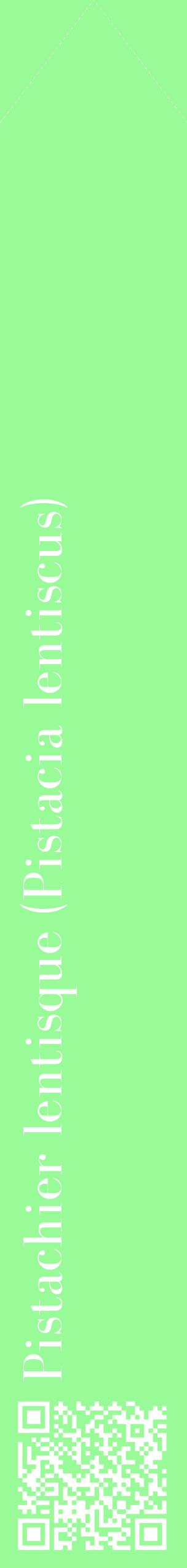 Étiquette de : Pistacia lentiscus - format c - style blanche14_simplebod avec qrcode et comestibilité