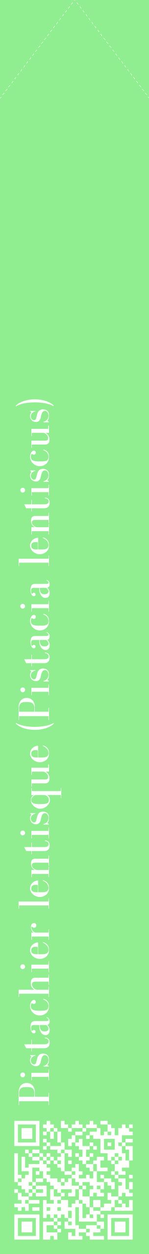 Étiquette de : Pistacia lentiscus - format c - style blanche15_simplebod avec qrcode et comestibilité