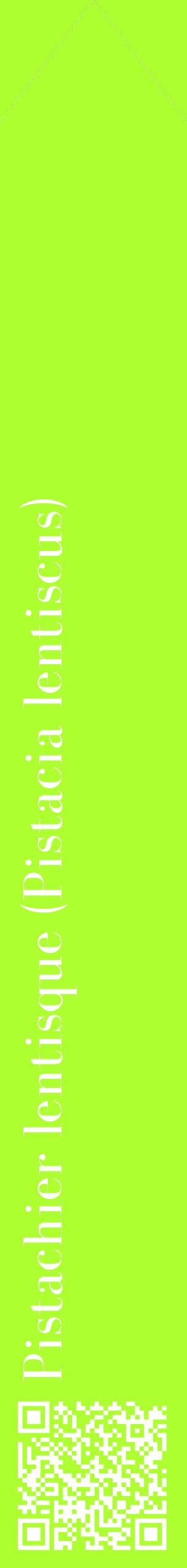Étiquette de : Pistacia lentiscus - format c - style blanche17_simplebod avec qrcode et comestibilité