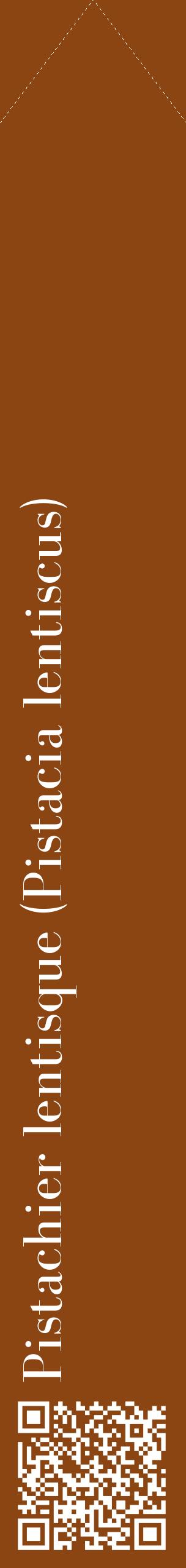 Étiquette de : Pistacia lentiscus - format c - style blanche30_simplebod avec qrcode et comestibilité