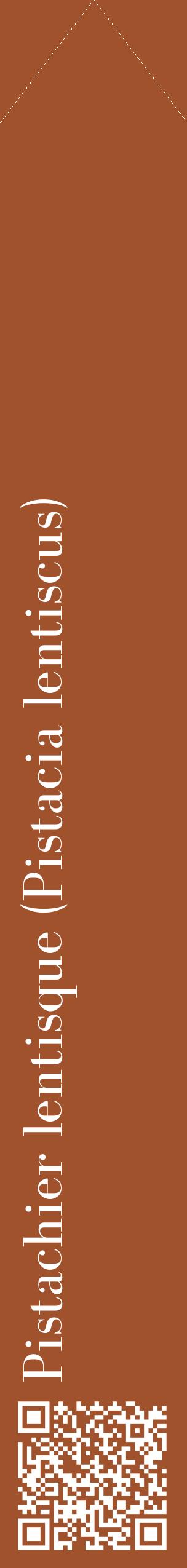 Étiquette de : Pistacia lentiscus - format c - style blanche32_simplebod avec qrcode et comestibilité