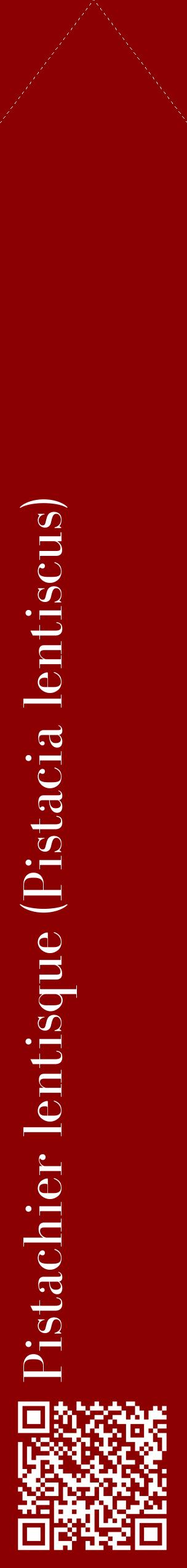 Étiquette de : Pistacia lentiscus - format c - style blanche34_simplebod avec qrcode et comestibilité