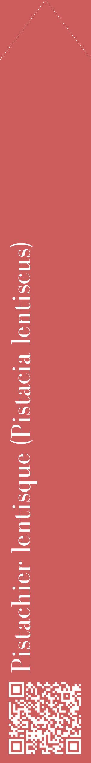 Étiquette de : Pistacia lentiscus - format c - style blanche35_simplebod avec qrcode et comestibilité