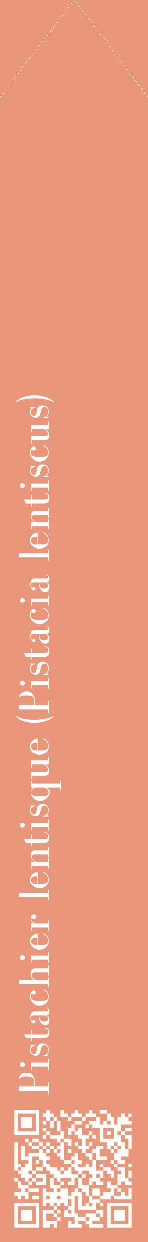 Étiquette de : Pistacia lentiscus - format c - style blanche37_simplebod avec qrcode et comestibilité