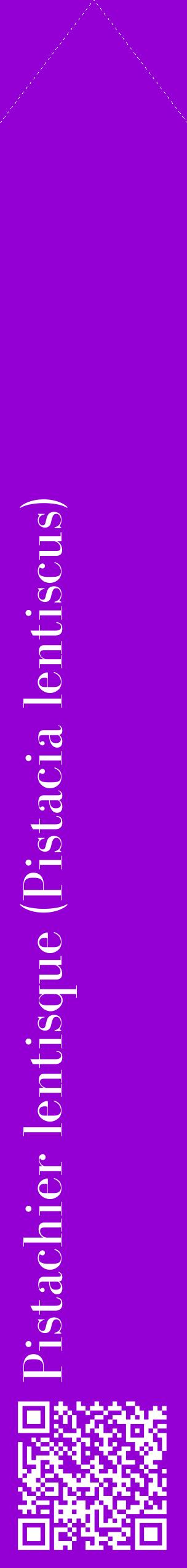 Étiquette de : Pistacia lentiscus - format c - style blanche48_simplebod avec qrcode et comestibilité