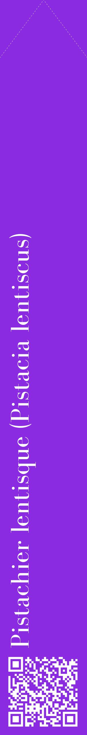 Étiquette de : Pistacia lentiscus - format c - style blanche49_simplebod avec qrcode et comestibilité