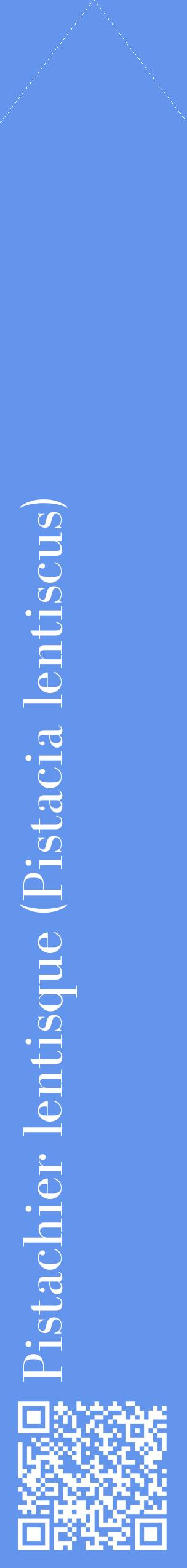 Étiquette de : Pistacia lentiscus - format c - style blanche4_simplebod avec qrcode et comestibilité