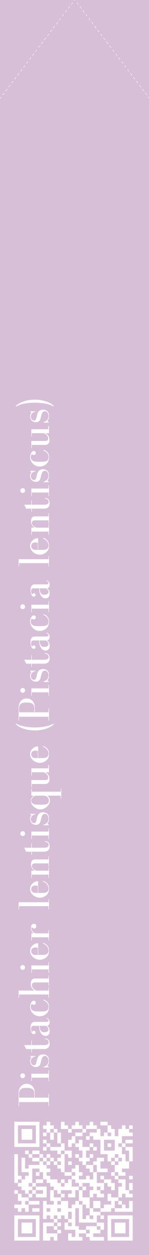 Étiquette de : Pistacia lentiscus - format c - style blanche54_simplebod avec qrcode et comestibilité