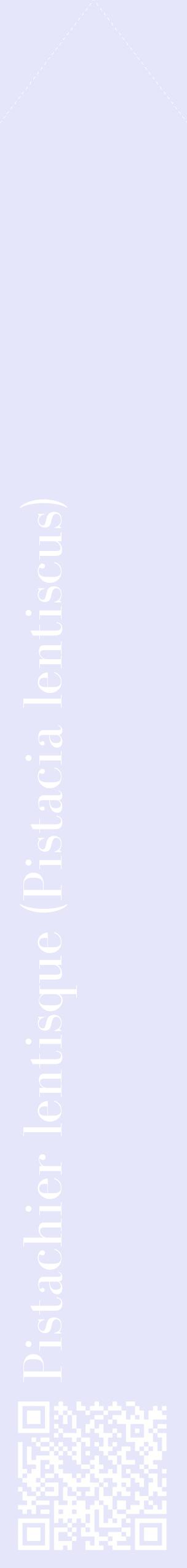 Étiquette de : Pistacia lentiscus - format c - style blanche55_simplebod avec qrcode et comestibilité