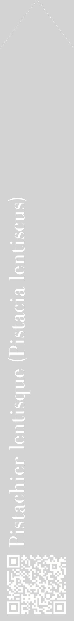 Étiquette de : Pistacia lentiscus - format c - style blanche56_simplebod avec qrcode et comestibilité