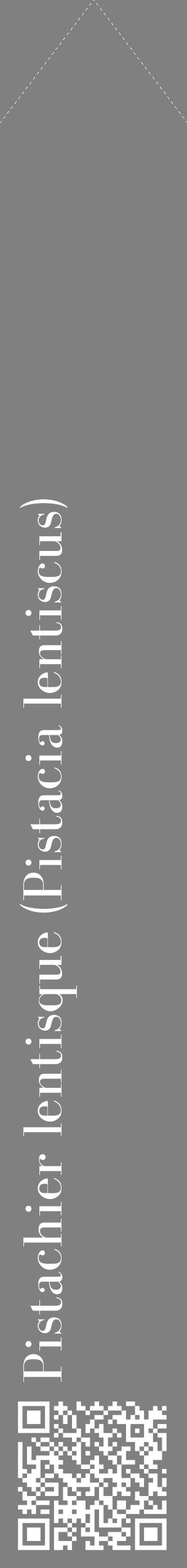 Étiquette de : Pistacia lentiscus - format c - style blanche57_simplebod avec qrcode et comestibilité